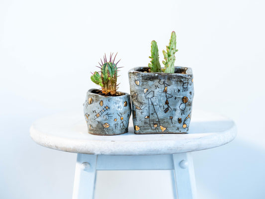 constellation collection - planters